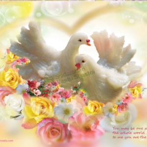 Love Birds Decorative Showpiece